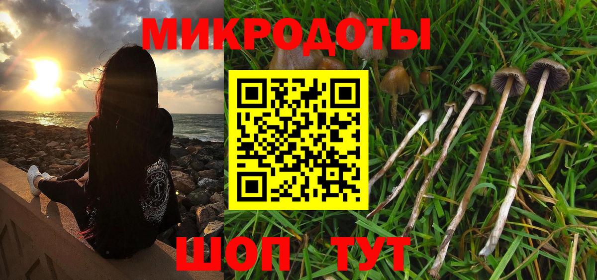 Галлюциногенные грибы прущие грибы  купить   Вход с VPN  Лесозаводск  Галлюциногенные грибы ЛСД 
