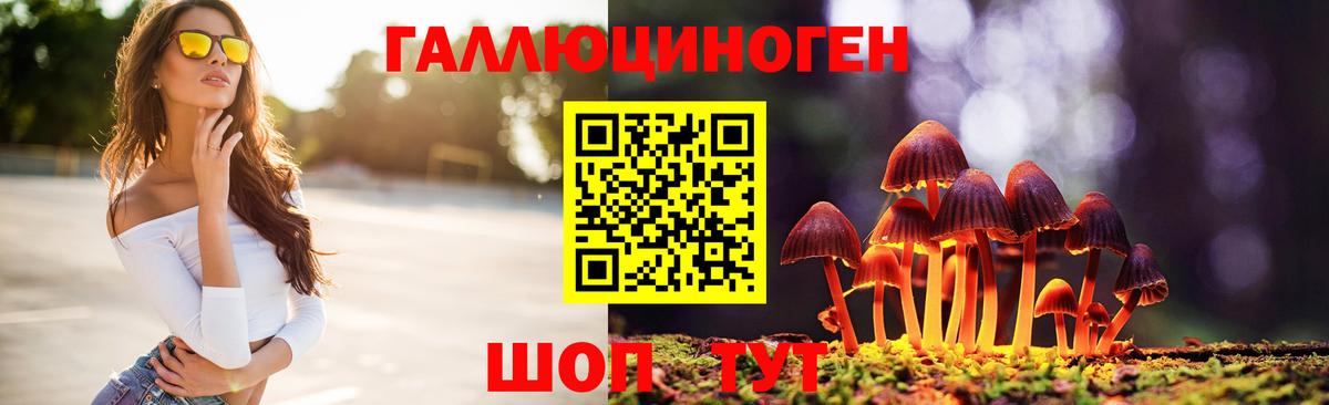 Псилоцибиновые грибы прущие грибы Лесозаводск